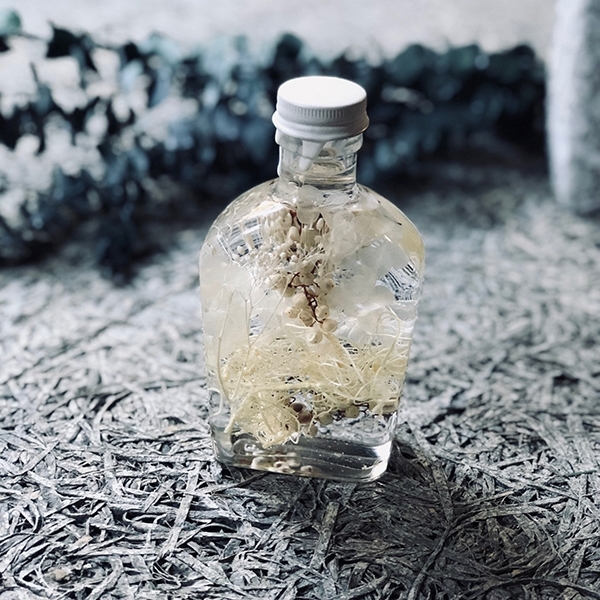 Mott herbarium bottle(white)