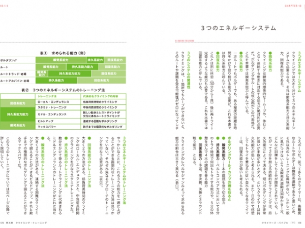 有限会社　フロンティアスピリッツ商品画像374425