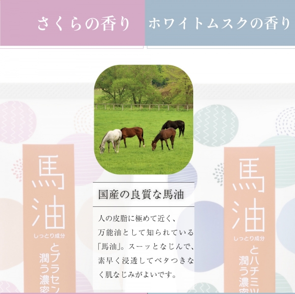 アイスタイル卸サイト商品画像4582731831604