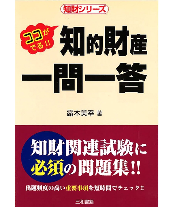 三和書籍商品画像9784862510242